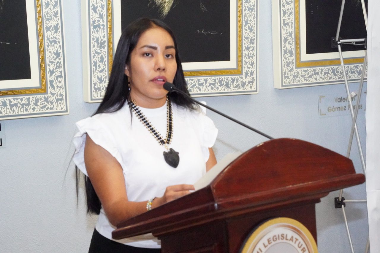 Presenta diputada iniciativa de reformas que promueve el alfabetismo digital en Guerrero