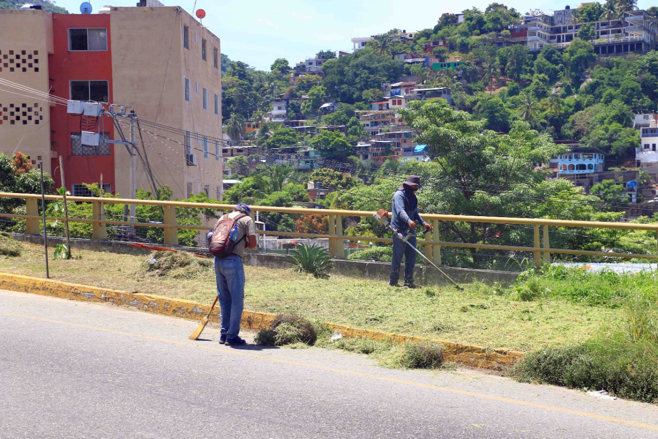 Refuerza Áreas Verdes trabajos de embellecimiento en zona turística