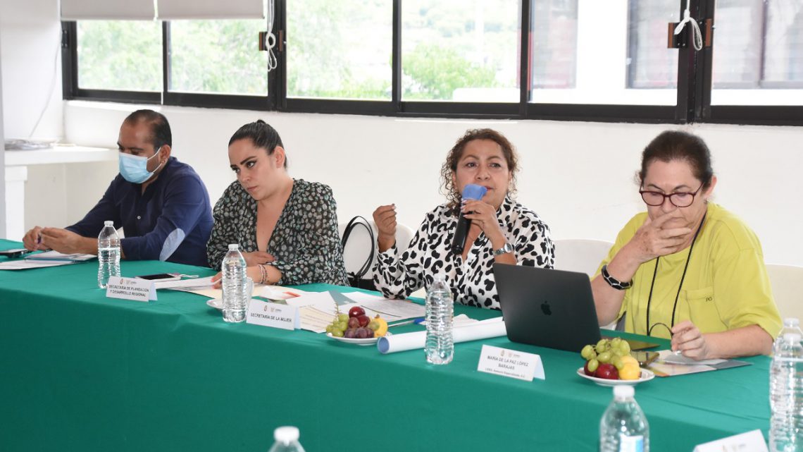 Semujer encabeza sesión extraordinaria del Subcomité Especial de Igualdad de Género Semujer encabeza sesión extraordinaria del Subcomité Especial de Igualdad de Género
