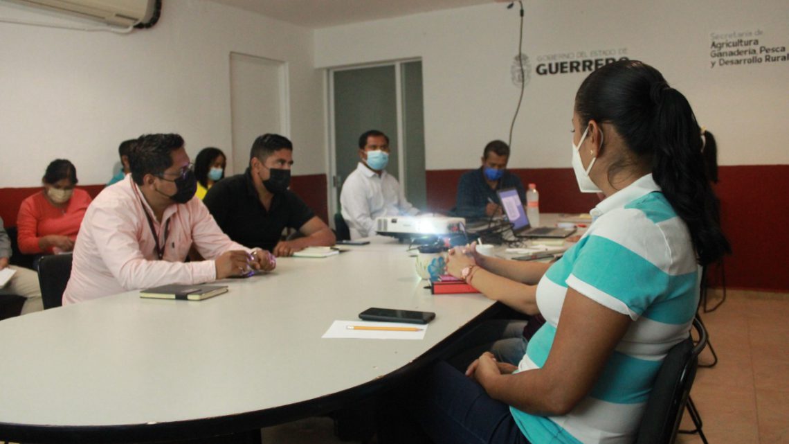 Recibe personal de la Sagadegro capacitación por el ITAIGro Recibe personal de la Sagadegro capacitación por el ITAIGro