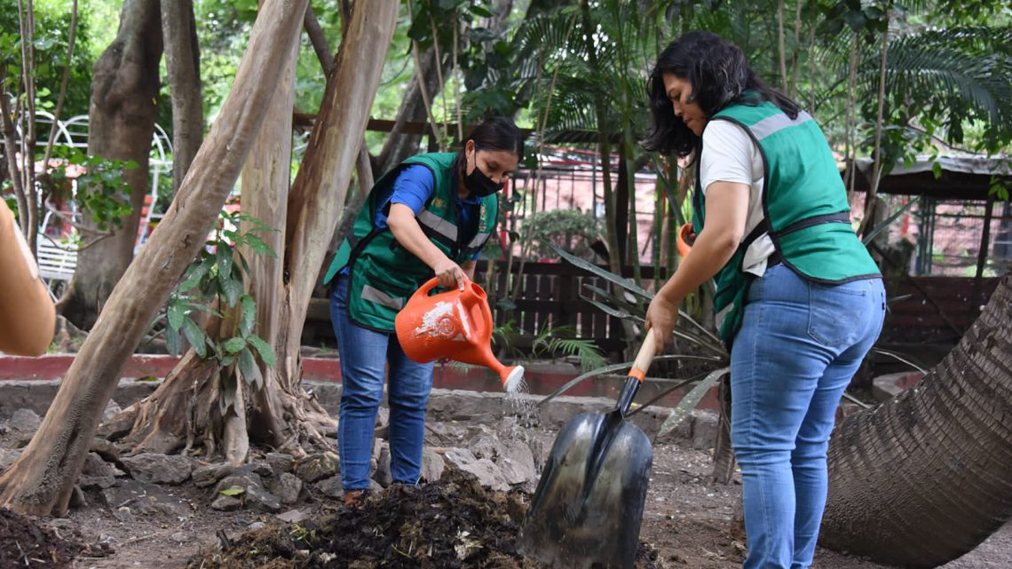 Promueve el Zoológico “Zoochilpan” la implementación de huertos familiares para consumo propio Promueve el Zoológico “Zoochilpan” la implementación de huertos familiares para consumo propio