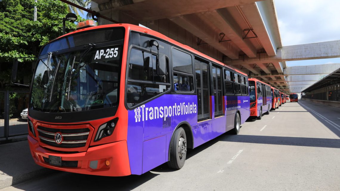 Llega Transporte Violeta a Acapulco Llega Transporte Violeta a Acapulco