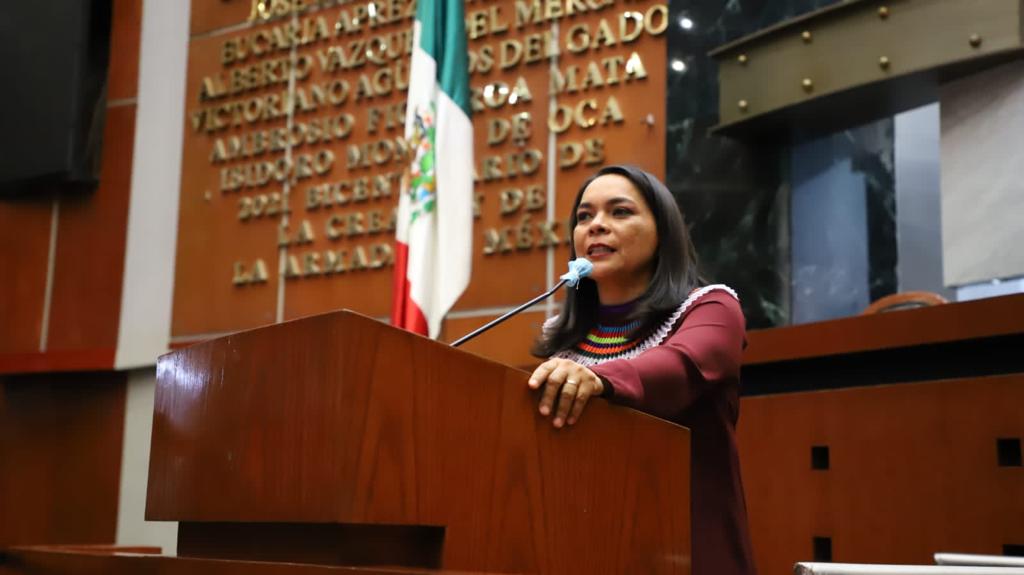 Mojica propone incorporar el principio de paridad en la Comisión de Derechos Humanos de Guerrero