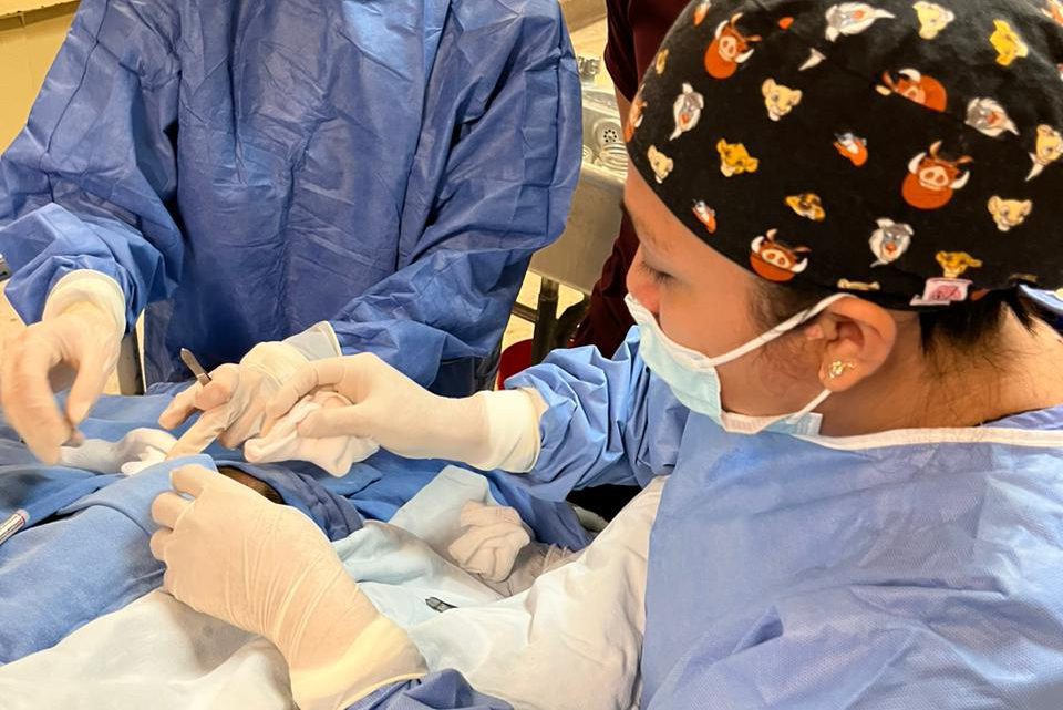 Procuran médicos del HGR No. 1 córneas de paciente de 61 años Procuran médicos del HGR No. 1 córneas de paciente de 61 años