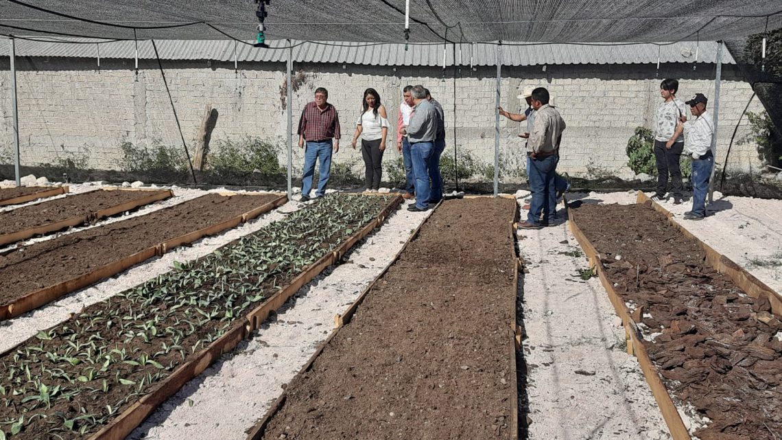 Inaugura la SEMAREN Guerrero vivero comunitario en el ejido de Amojileca, en Chilpancingo Inaugura la SEMAREN Guerrero vivero comunitario en el ejido de Amojileca, en Chilpancingo