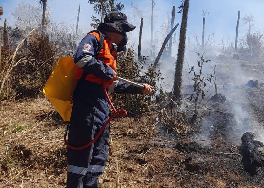 En lo que va del año se han registrado 12 incendios forestales en Guerrero