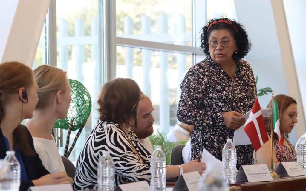Se reúnen la SSG, el gobierno federal y representantes de Dinamarca para fortalecer la atención en salud