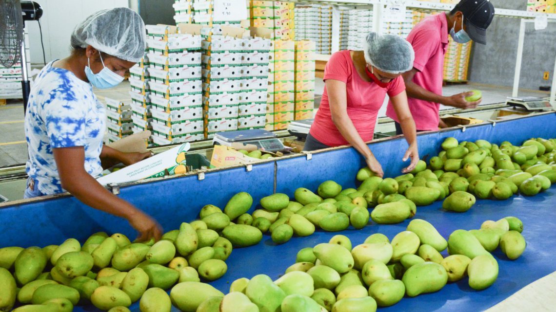 Convocan a empresas guerrerenses a participar en la selección de proveedores de Walmart Convocan a empresas guerrerenses a participar en la selección de proveedores de Walmart