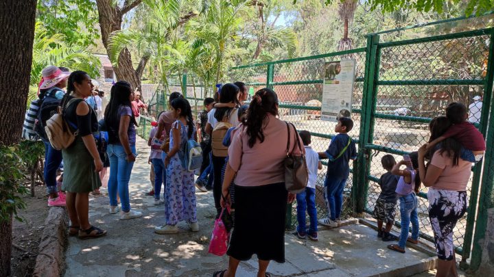Miles de visitantes acuden al zoológico “Zoochilpan” de Chilpancingo, durante las vacaciones de Semana Santa