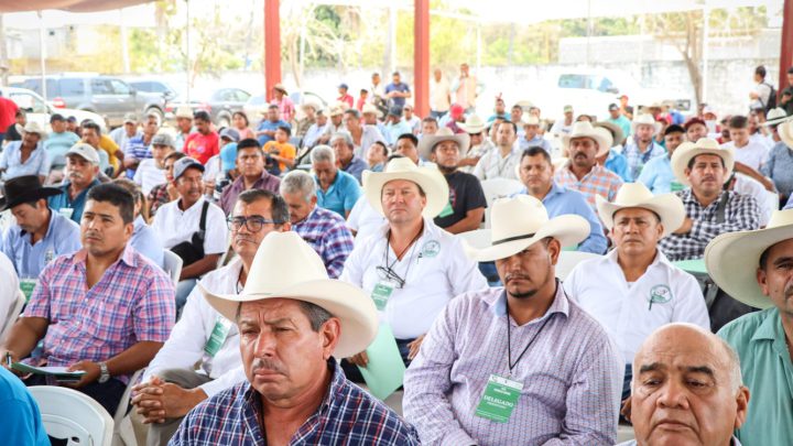 Capacitará Sagadegro a ganaderos para mejoramiento genético de ejemplares