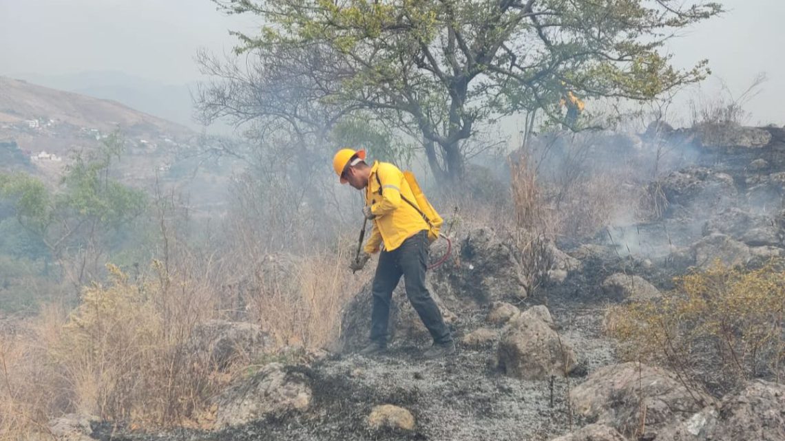 Refuerza Guerrero acciones para atender incendios forestales
