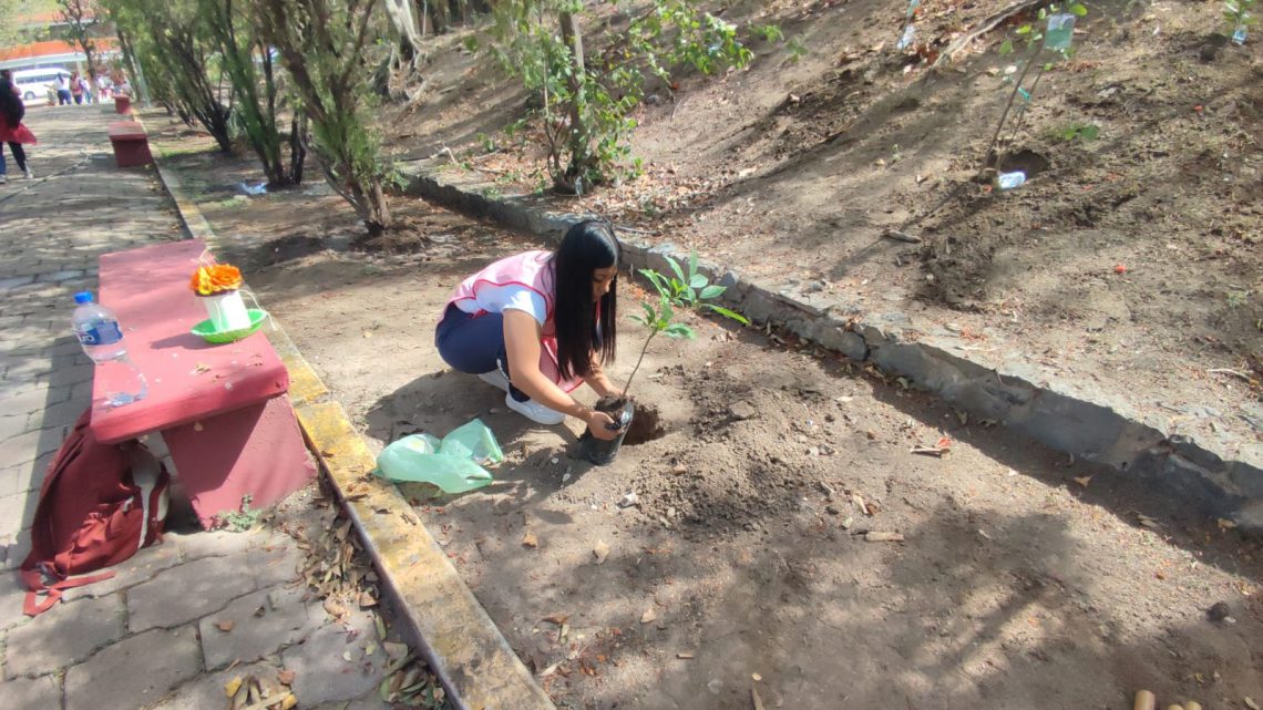 Siembran 300 árboles en el Día del Árbol Siembran 300 árboles en el Día del Árbol