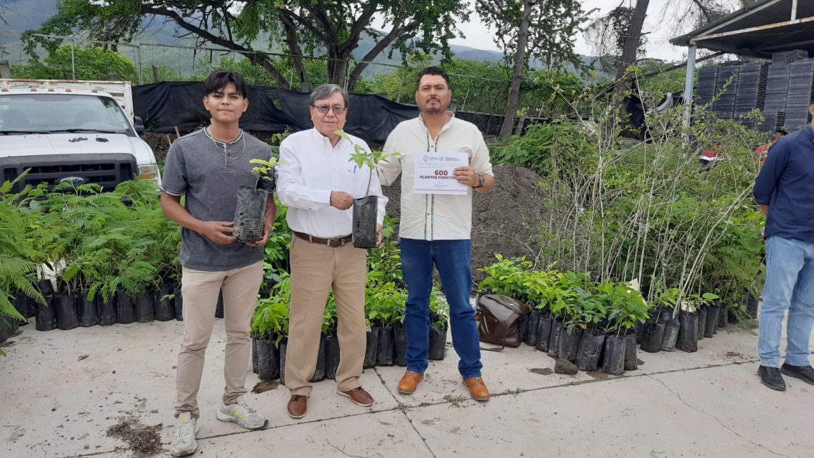 Entrega Semaren más de 19 mil plantas para la reforestación de varios municipios de Guerrero