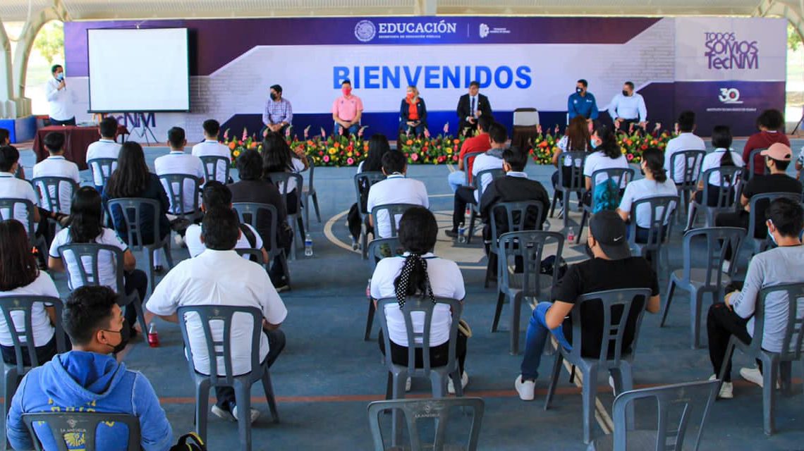 Proyectan en Guerrero exposición de Cerebros Humanos y Museográfica