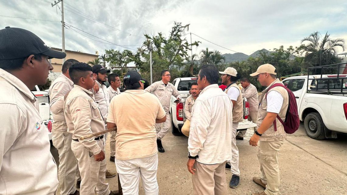 Reporta la SSG solo 253 casos confirmados de dengue en Acapulco