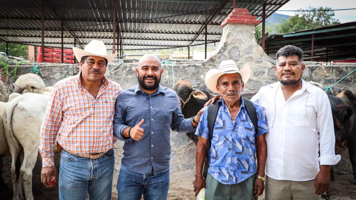 Reciben ganaderos de la región Centro  sementales bovinos