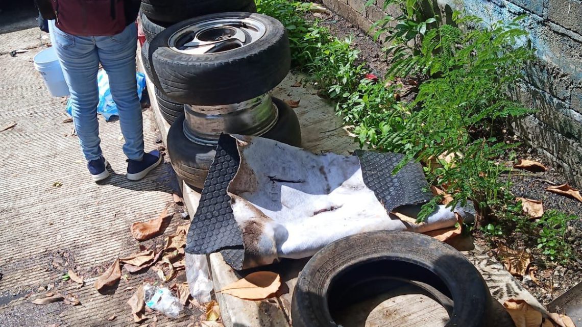 Mantiene la SSG acciones de control del dengue en Acapulco y Coyuca de Benítez Mantiene la SSG acciones de control del dengue en Acapulco y Coyuca de Benítez