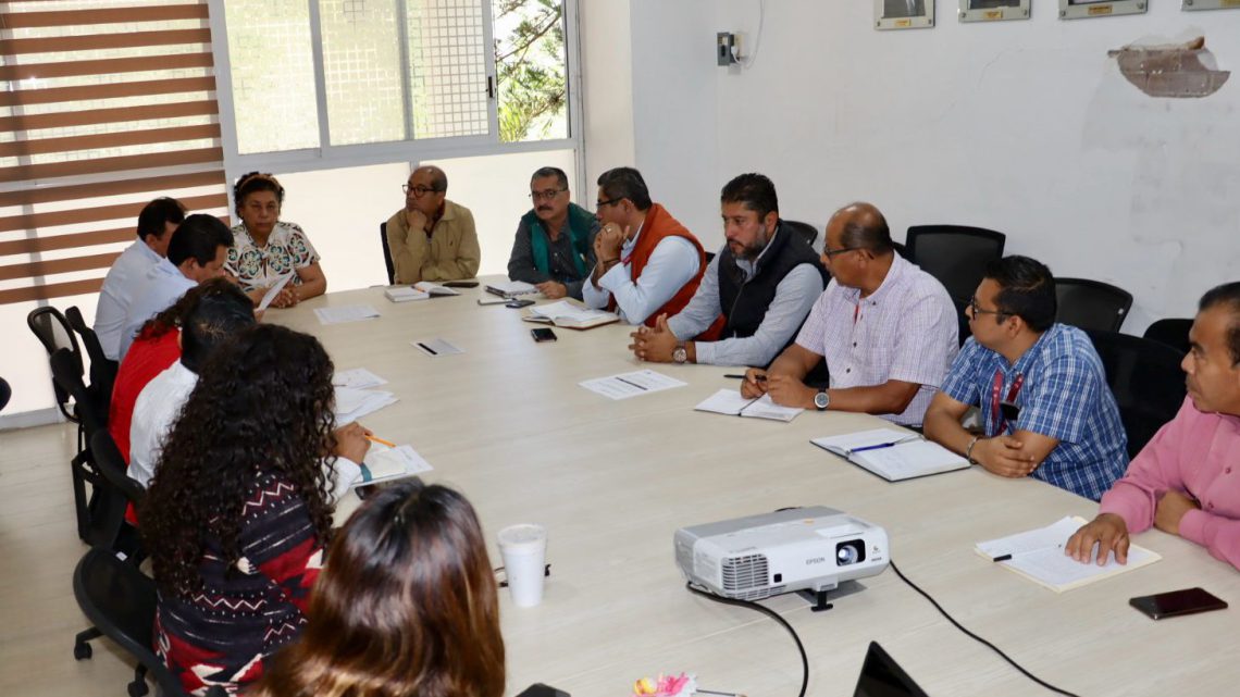 Evalúan acciones y programas para seguir combatiendo el Dengue en Guerrero: Aidé Ibarez