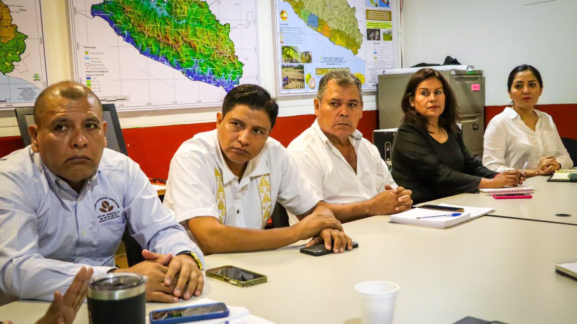 El café, uno de los sistemas producto prioritarios a impulsar en el 2024: Sagadegro El café, uno de los sistemas producto prioritarios a impulsar en el 2024: Sagadegro