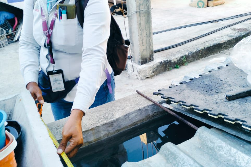 Continúa sector Salud con vigilancia epidemiológica del dengue en Acapulco y Coyuca Continúa sector Salud con vigilancia epidemiológica del dengue en Acapulco y Coyuca