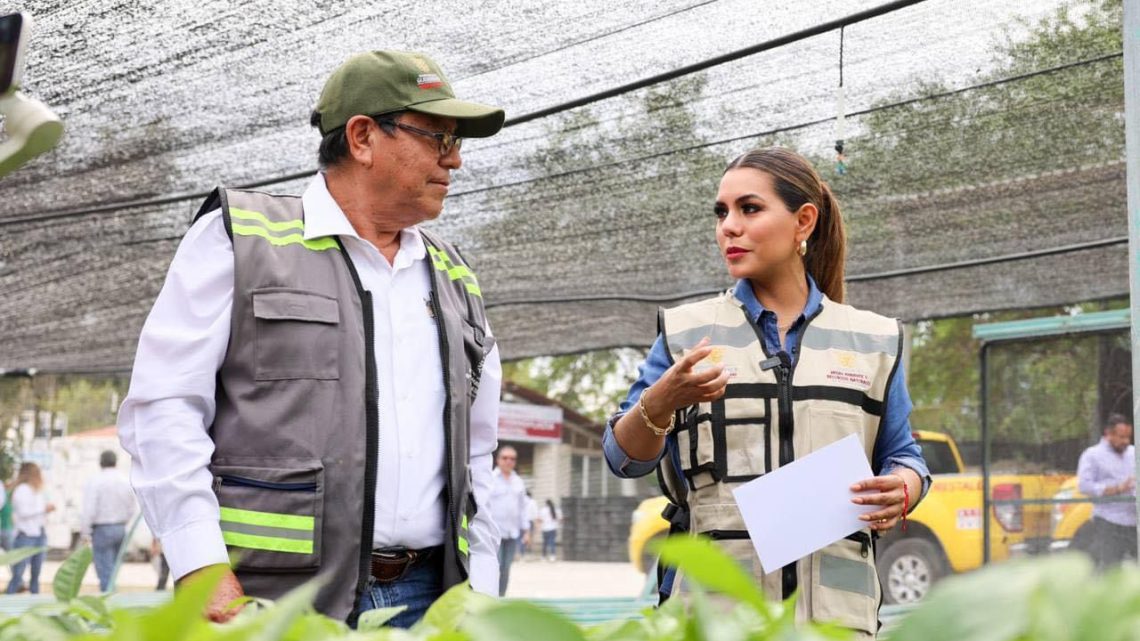 Alistan Evelyn Salgado campaña de reforestación para Acapulco y Coyuca de Benítez