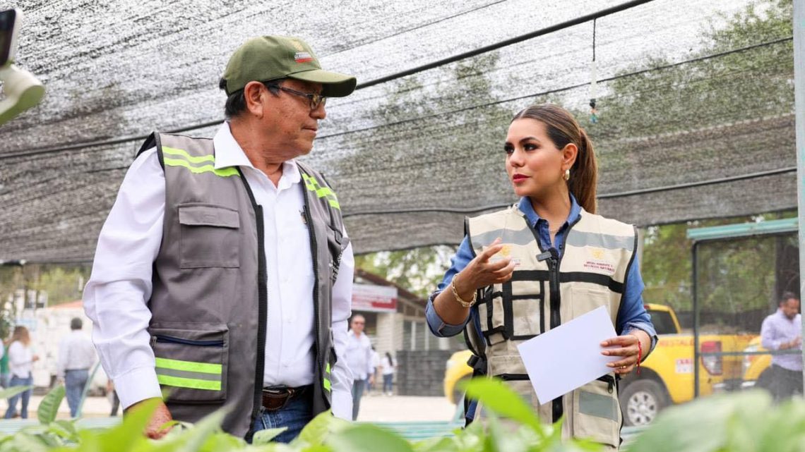 Alistan Evelyn Salgado campaña de reforestación para Acapulco y Coyuca de Benítez Alistan Evelyn Salgado campaña de reforestación para Acapulco y Coyuca de Benítez