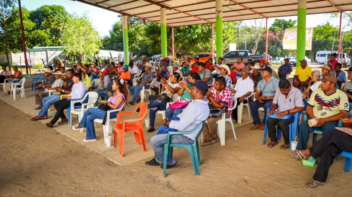 Se realiza el Primer Festival del Mango, en Florencio Villarreal