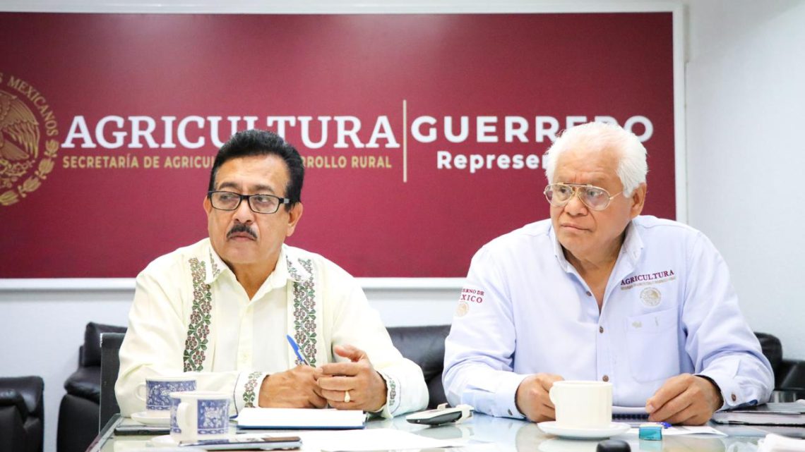 Coordinan gobiernos estatal y federal el suministro del fertilizante en Guerrero