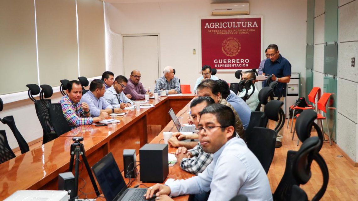 Designan representante no gubernamental del Comité Sistema Producto Mamey de Guerrero