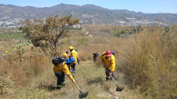 Trabaja SGIRPCGRO en acciones en zonas propensas a incendios forestales y suburbanos en Chilpancingo