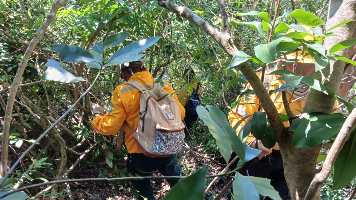 Al 90 por ciento la sofocación de incendio forestal del Parque Nacional El Veladero de Acapulco