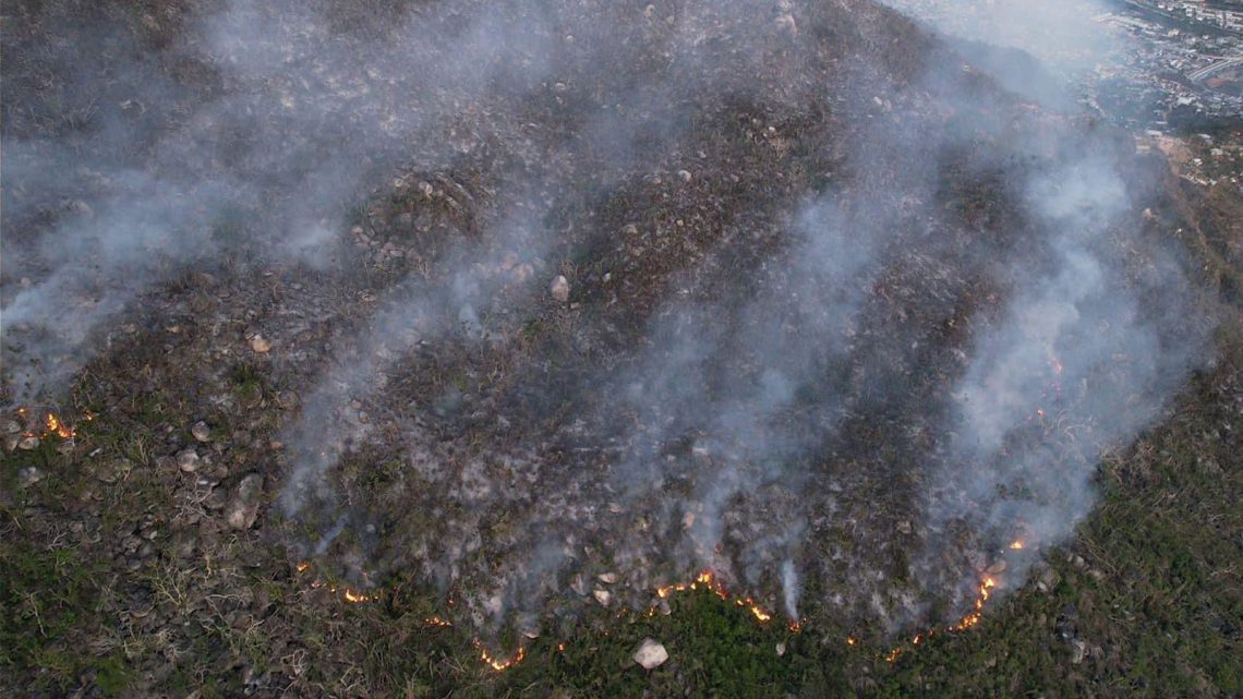 Incendios forestales de Acapulco no representan riesgo para viviendas cercanas