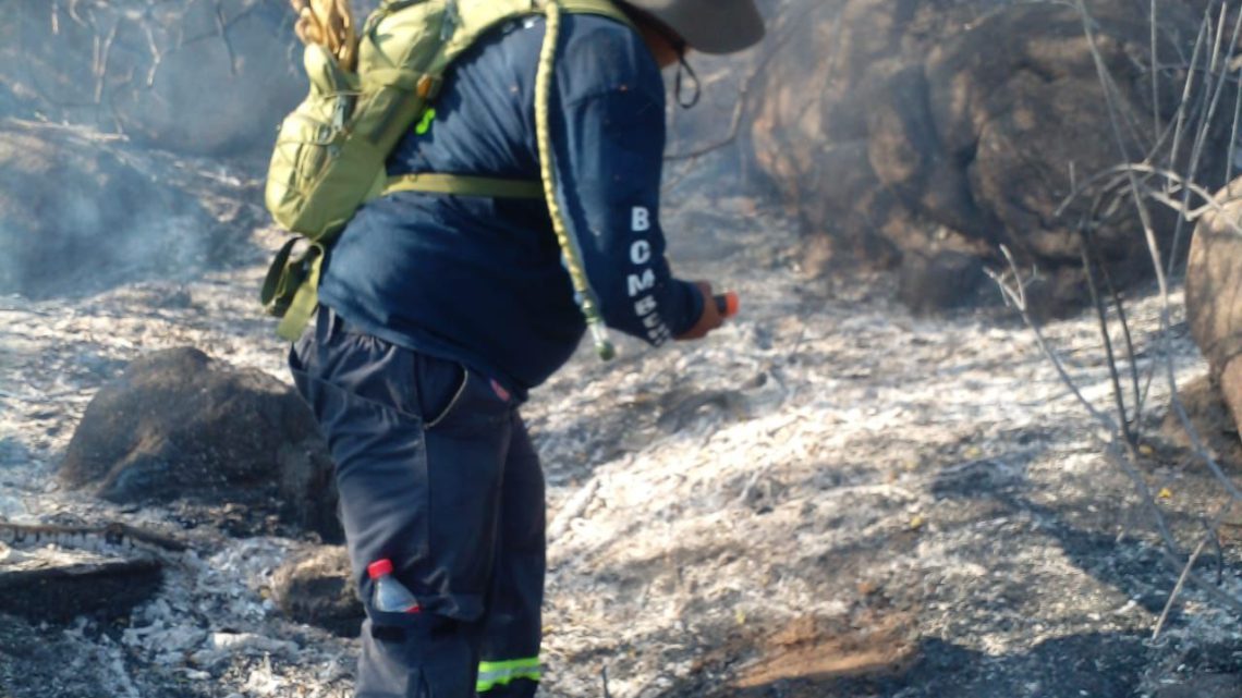 SE TRABAJA PARA LIQUIDAR NUEVO INCENDIO FORESTAL EN EL PARQUE EL VELADERO