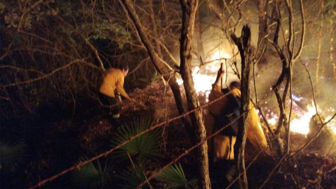 Se combaten seis incendios forestales en Guerrero: SGIRPCGRO Se combaten seis incendios forestales en Guerrero: SGIRPCGRO