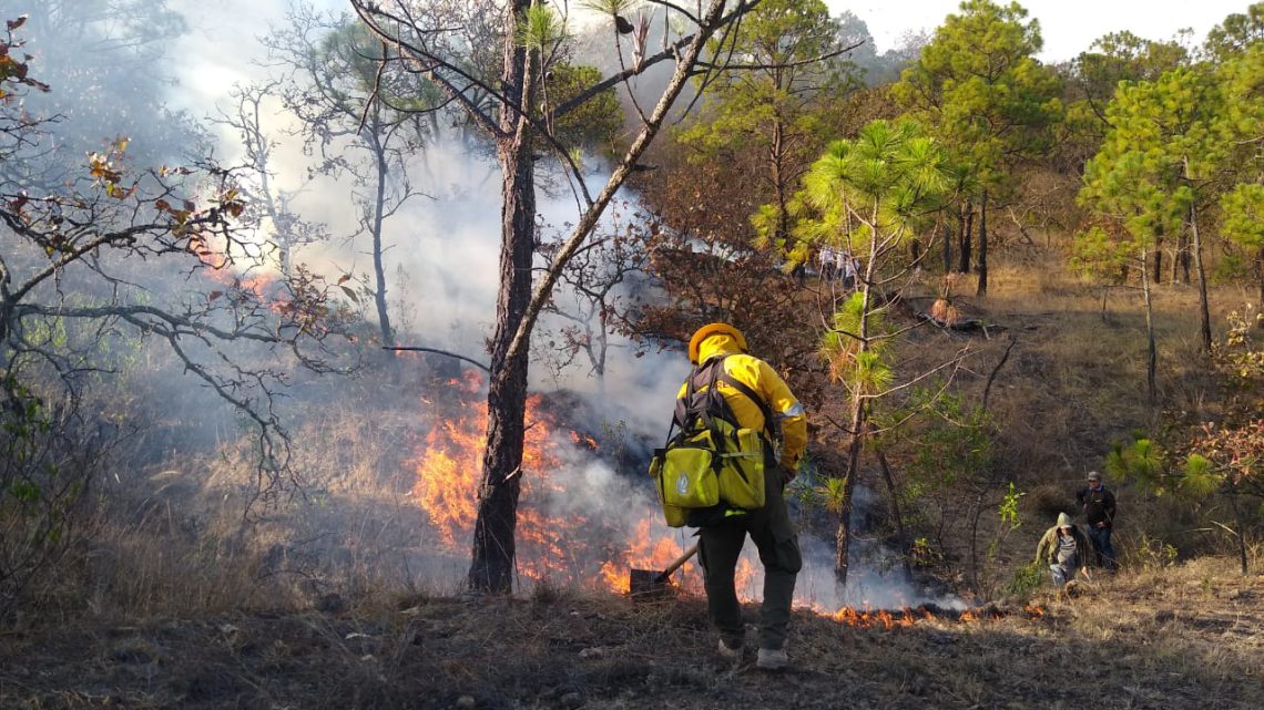 Se trabaja para sofocar incendio forestal en el municipio de Buenavista de Cuéllar