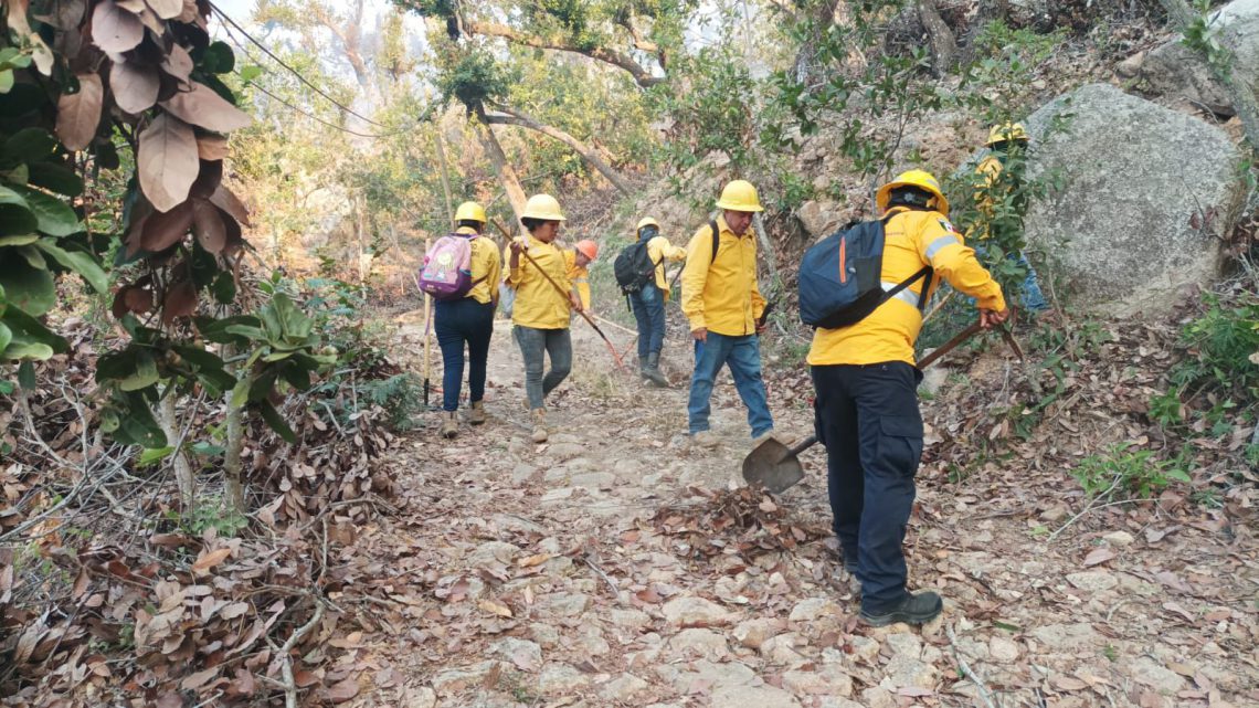 GOBIERNO DEL ESTADO ATIENDE NUEVO INCENDIO FORESTAL EN TERRENOS DEL PARQUE NACIONAL “EL VELADERO” GOBIERNO DEL ESTADO ATIENDE NUEVO INCENDIO FORESTAL EN TERRENOS DEL PARQUE NACIONAL “EL VELADERO”