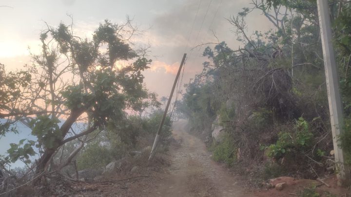 Continúa SGIRPCGRO con labores de combate en el incendio forestal del parque nacional El Veladero