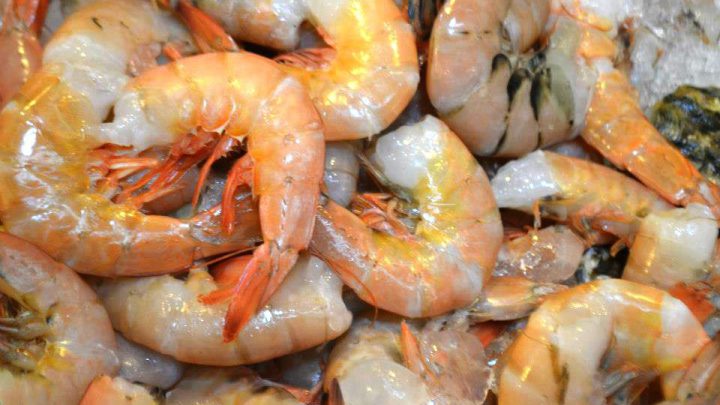 Emite SSG recomendaciones al comprar pescados y mariscos para esta Semana Santa