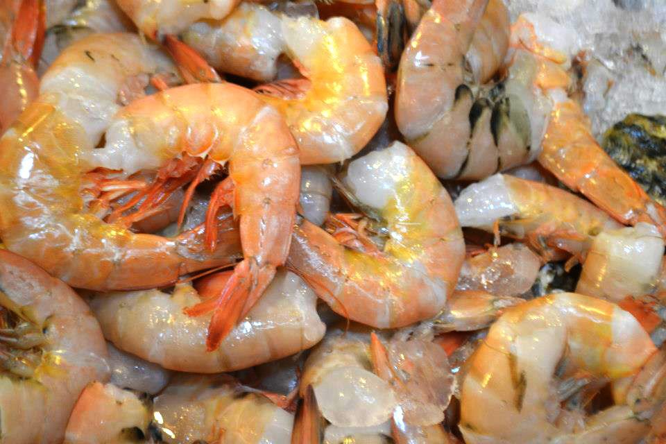 Emite SSG recomendaciones al comprar pescados y mariscos para esta Semana Santa Emite SSG recomendaciones al comprar pescados y mariscos para esta Semana Santa