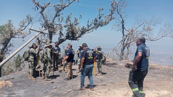Casi liquidados en su totalidad tres los incendios forestales en el municipio de Acapulco