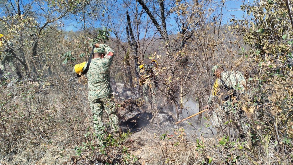 Este jueves la SGIRPCGRO atiende 15 incendios forestales y suburbanos en Guerrero