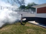 Se mantiene activa campaña para prevenir el dengue en Guerrero: SSG