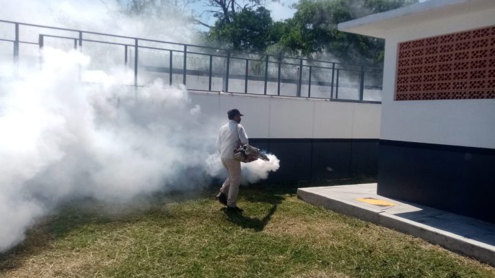 Se mantiene activa campaña para prevenir el dengue en Guerrero: SSG