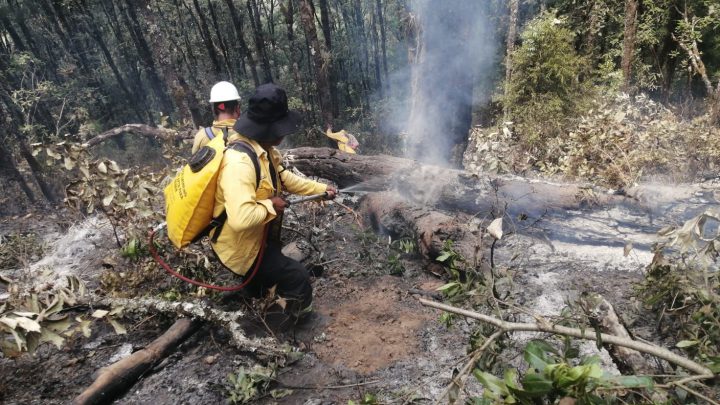 Personal de los tres niveles de gobierno trabajan en el combate de incendios forestales activos en Guerrero