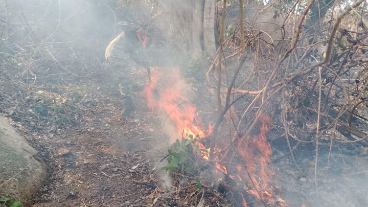 Intensifican autoridades esfuerzos para sofocar incendios forestales en Acapulco