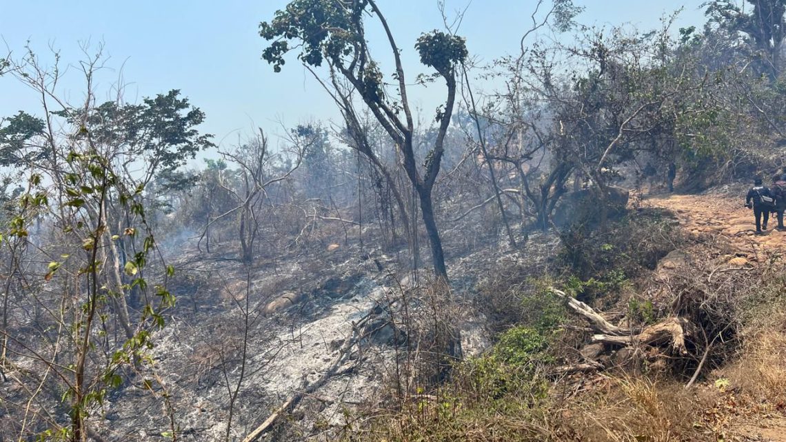 Hay control del 90 por ciento en el incendio de Carabalí y un 65 por ciento en el siniestro de la colonia María de la O de Acapulco Hay control del 90 por ciento en el incendio de Carabalí y un 65 por ciento en el siniestro de la colonia María de la O de Acapulco