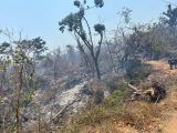 Hay control del 90 por ciento en el incendio de Carabalí y un 65 por ciento en el siniestro de la colonia María de la O de Acapulco