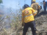 Controlado el 90 por ciento del incendio forestal de El Veladero en Acapulco