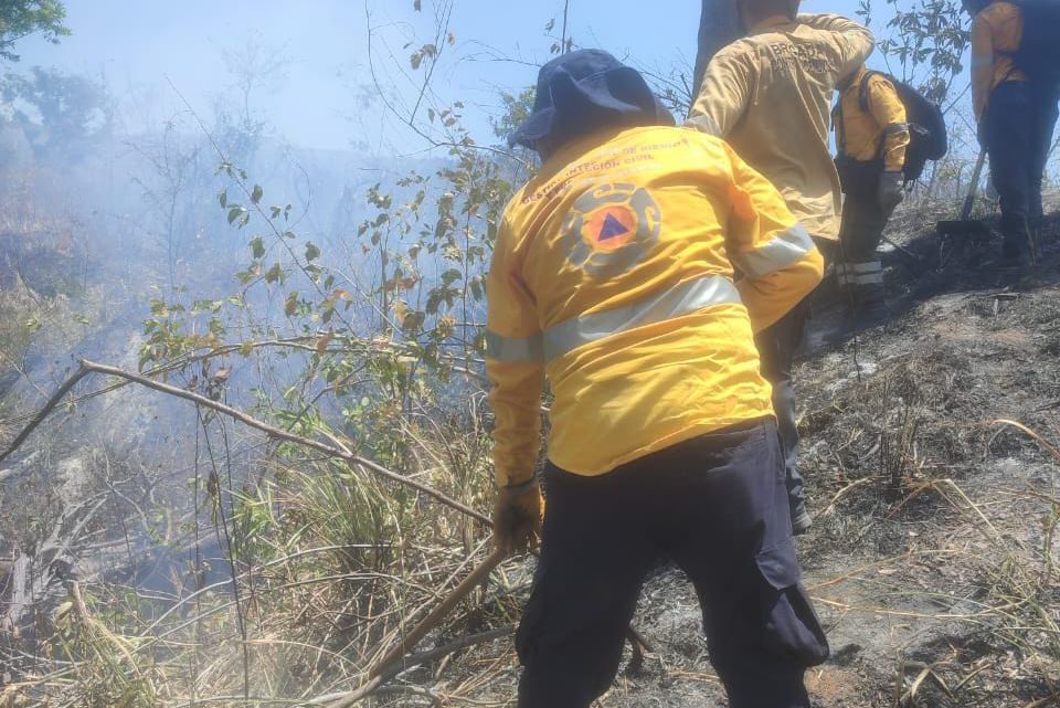 Controlado el 90 por ciento del incendio forestal de El Veladero en Acapulco