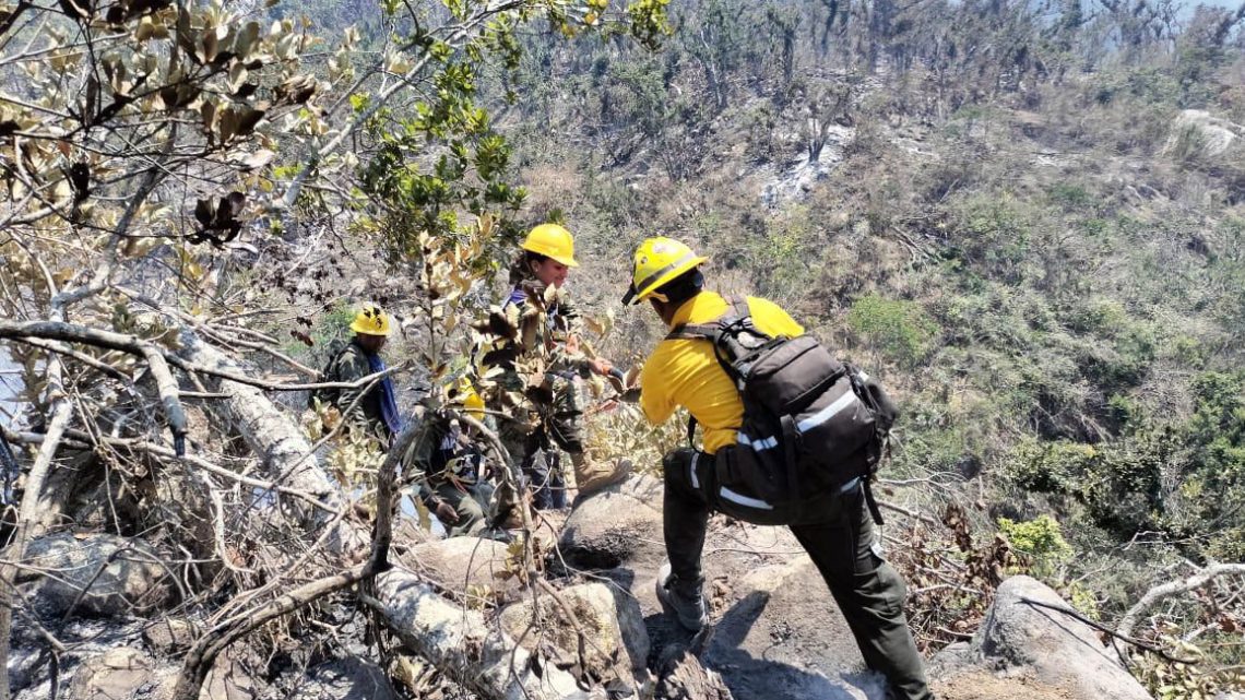 En próximas horas quedará sofocado incendio en El Veladero: SGIRPCGRO En próximas horas quedará sofocado incendio en El Veladero: SGIRPCGRO